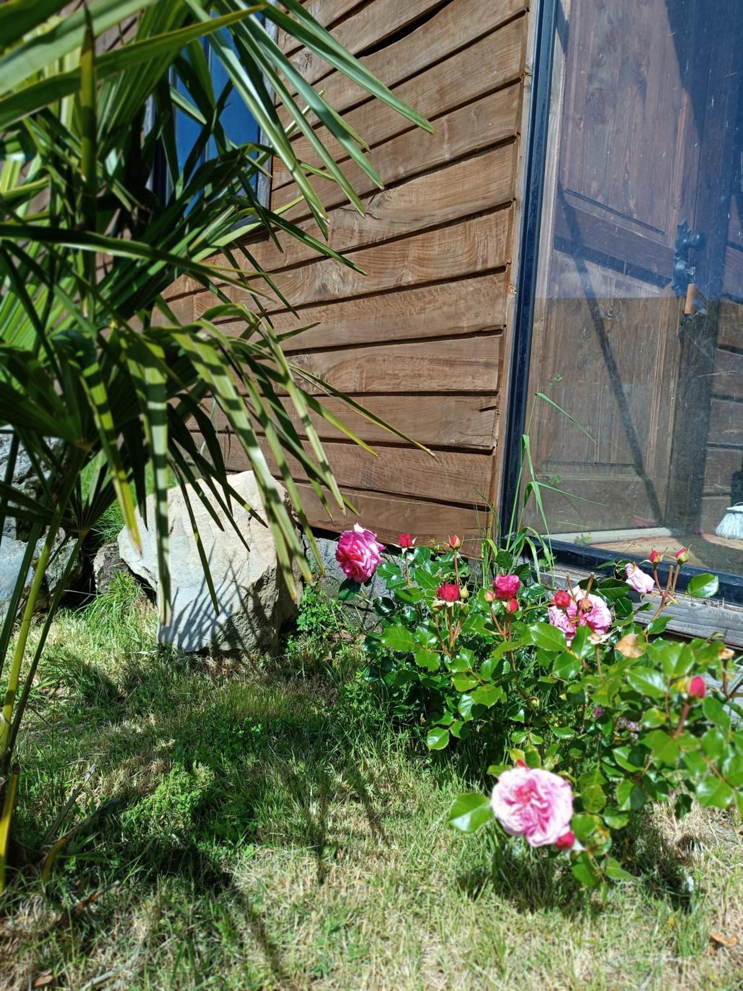 Calafquen Conaripe Cabanas Bagian luar foto